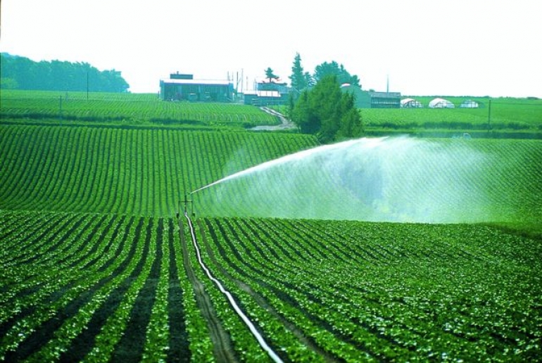  Système d'irrigation
