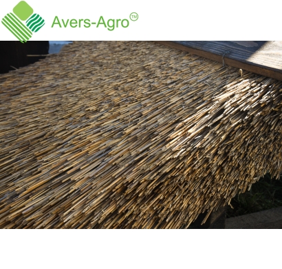Roofing reed